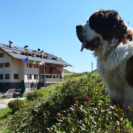 Rifugio Capanna Passo Valles Falcade Eksteriør bilde