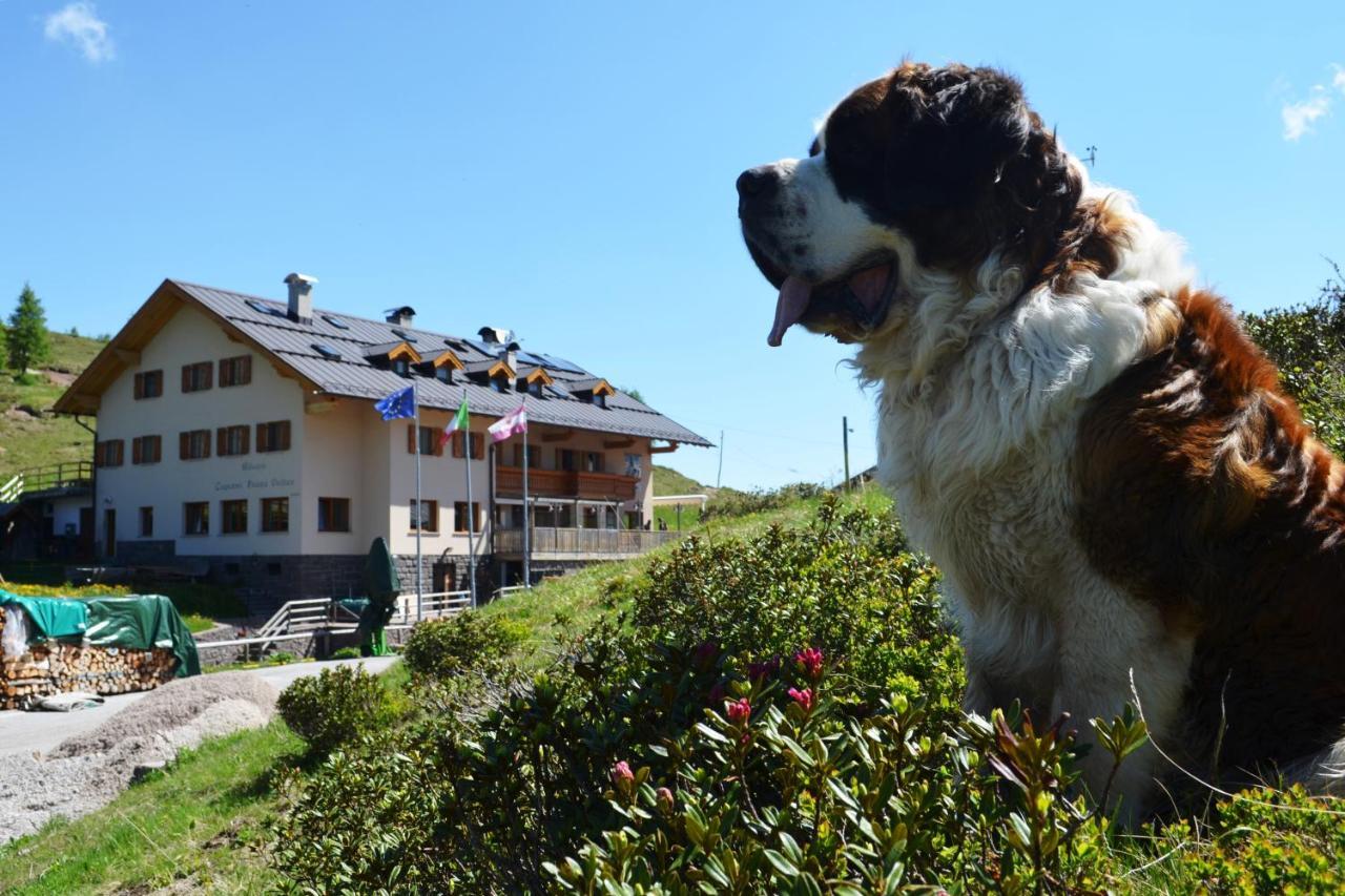 Rifugio Capanna Passo Valles Falcade Eksteriør bilde